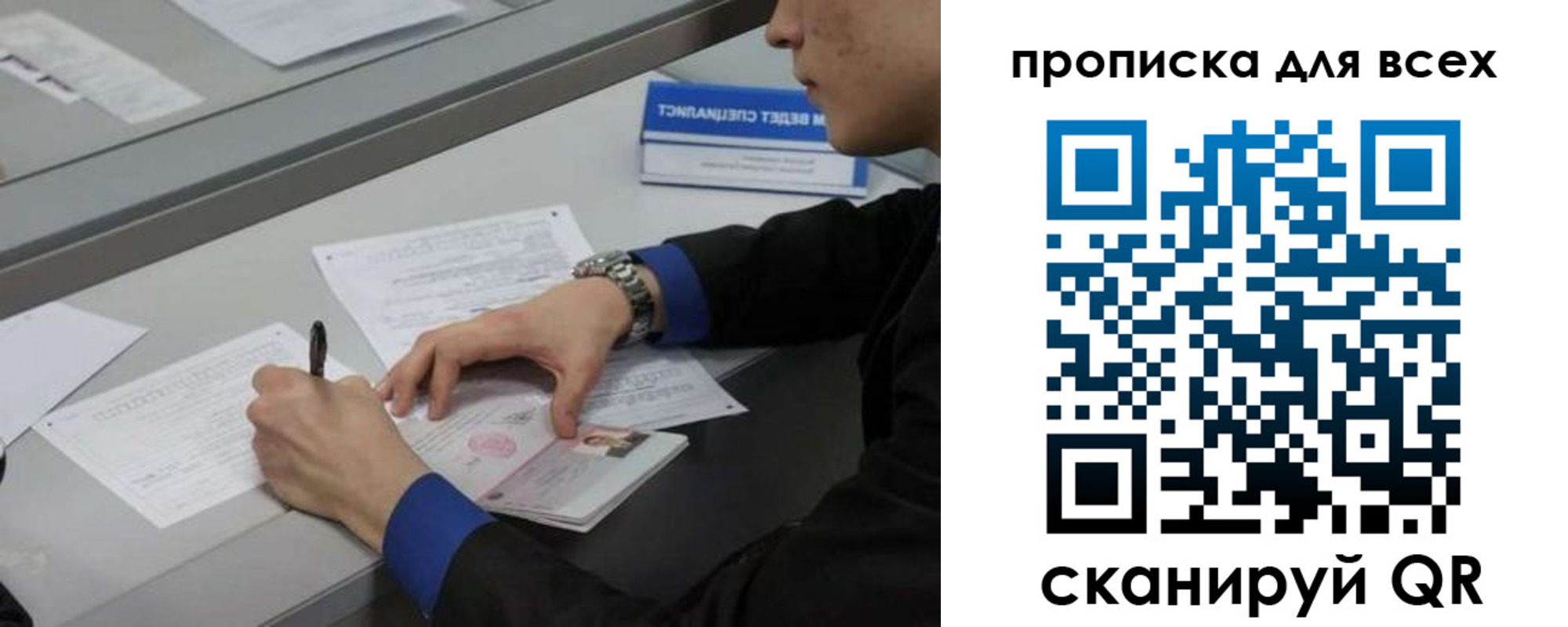 прописка в Александровске